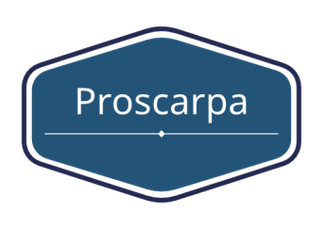 Proscarpa